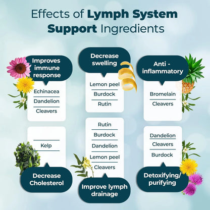 Lymph System Support - Lymphatic Drainage Supplement with Dandelion Extract, Cleavers, Burdock Powder