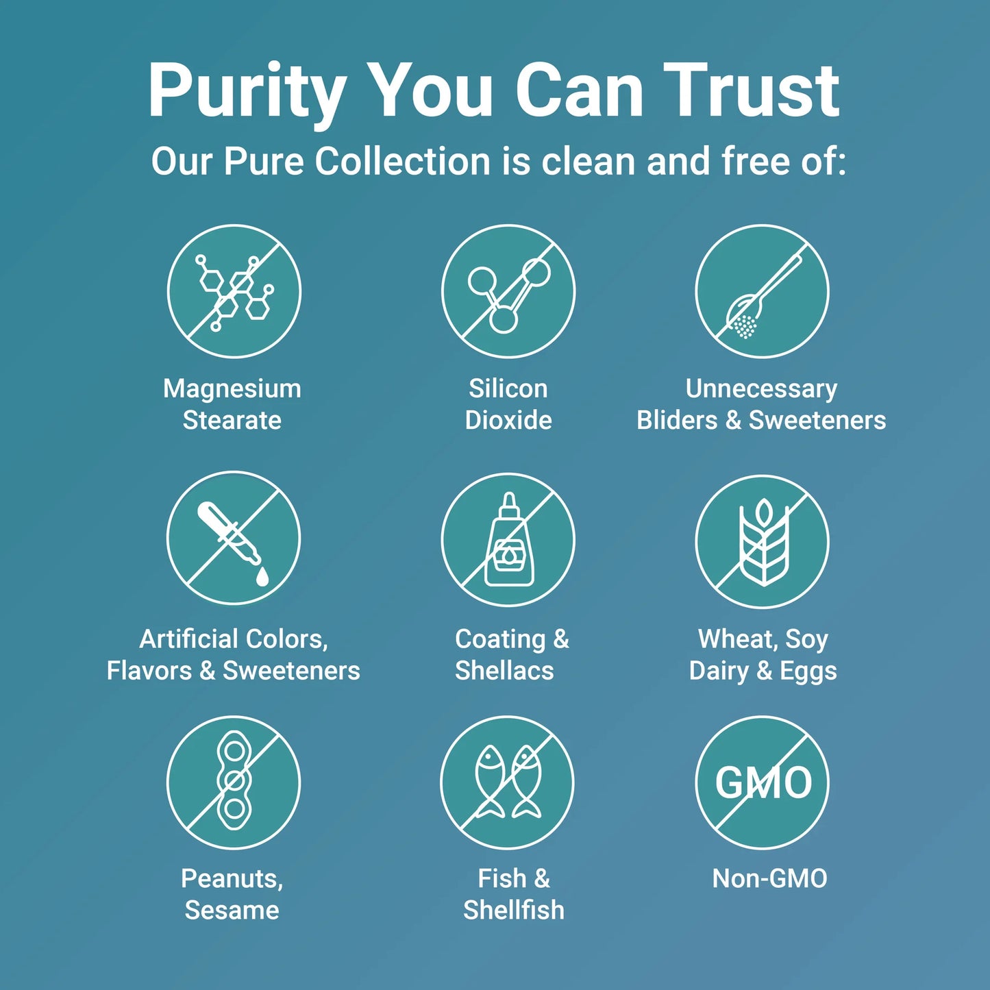 Turmeric Curcumin - 1,000mg | Curcuminoids with Black Pepper & MCT Oil